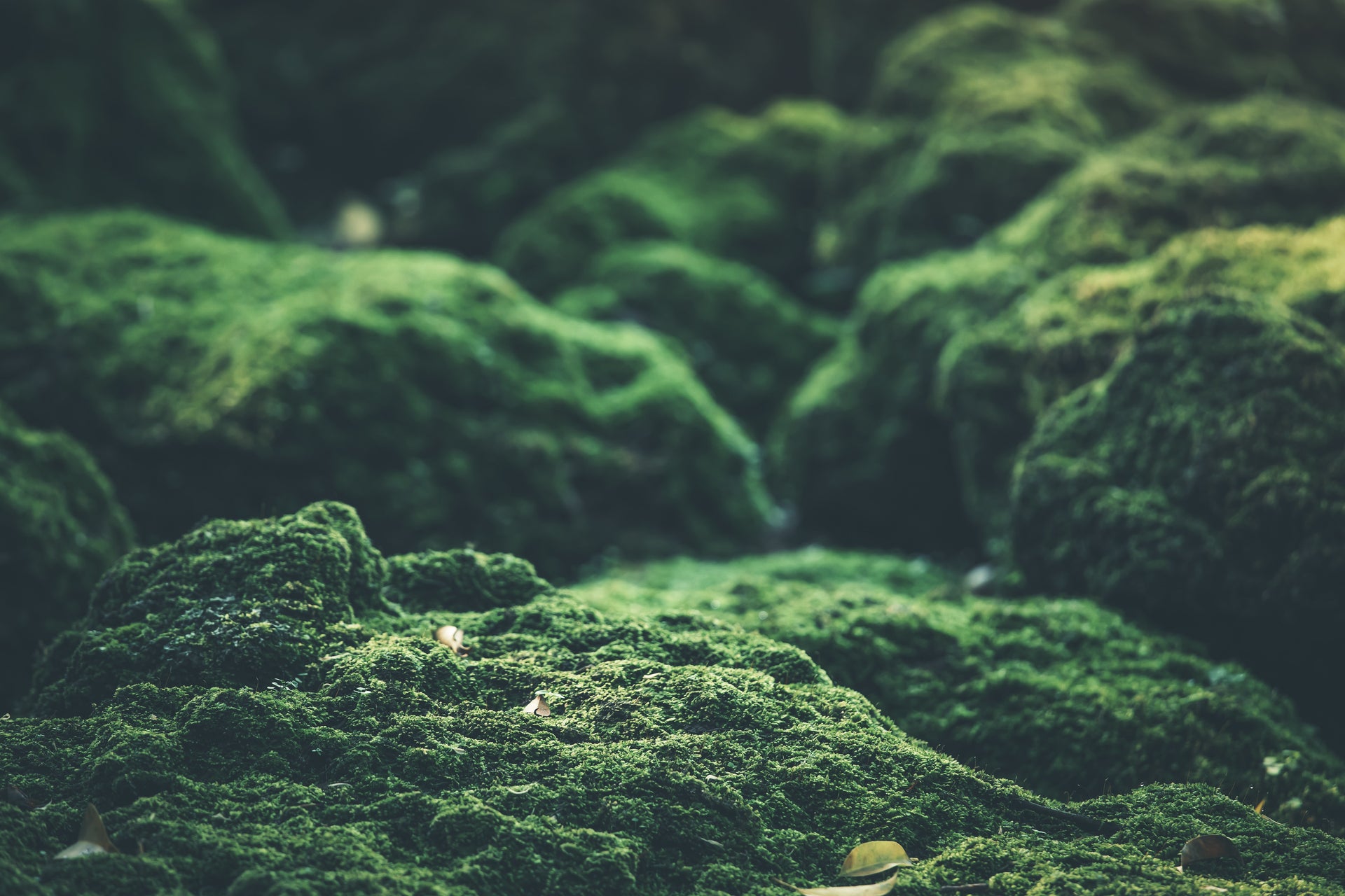 Ciencia que respeta la naturaleza de la piel